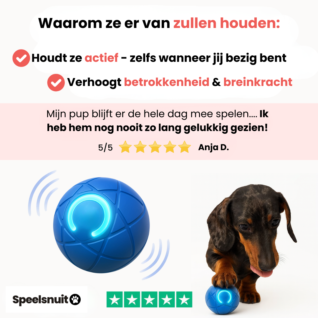 Speelsnuit™ - Bounce Buddy