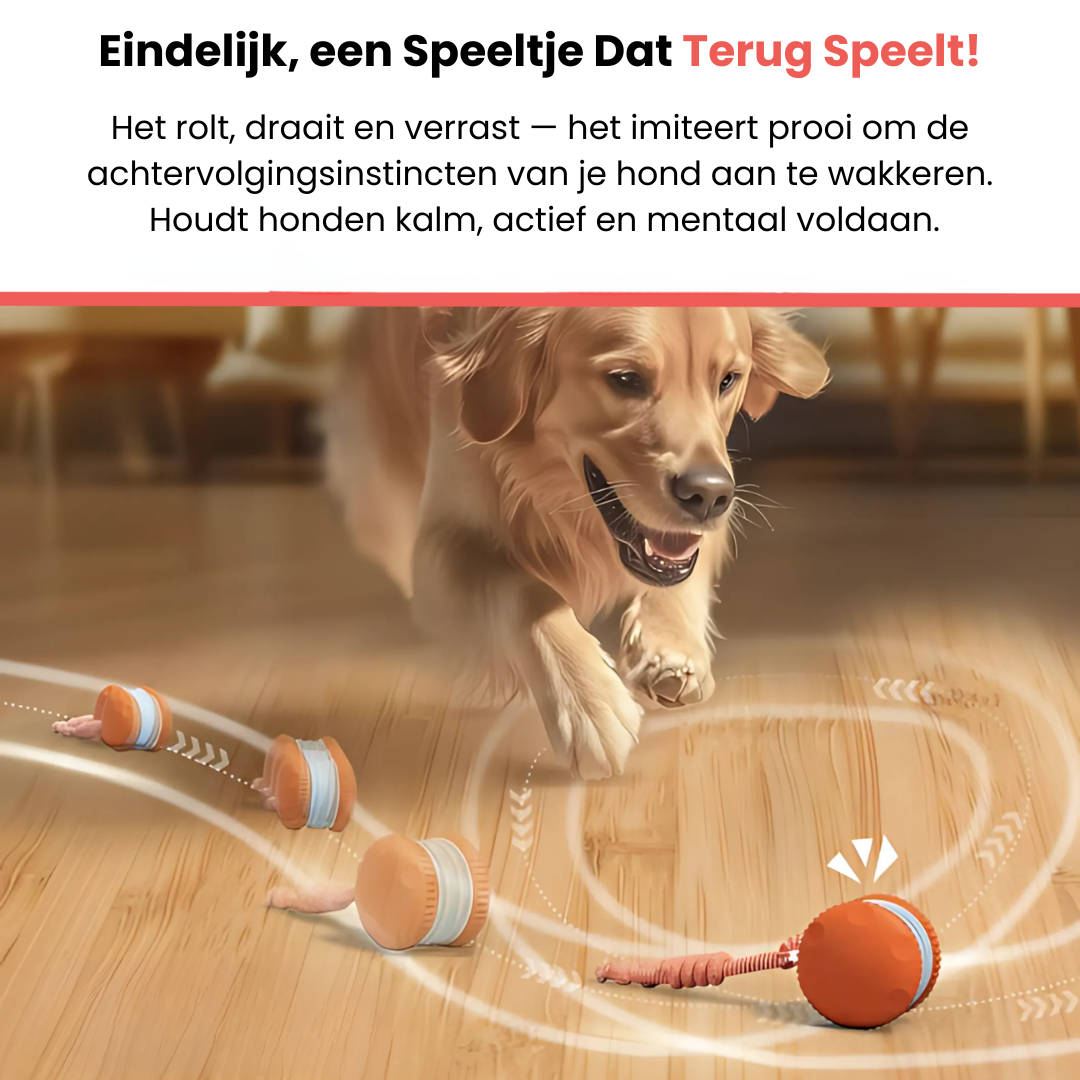 Speelsnuit™ - All-Day Buddy