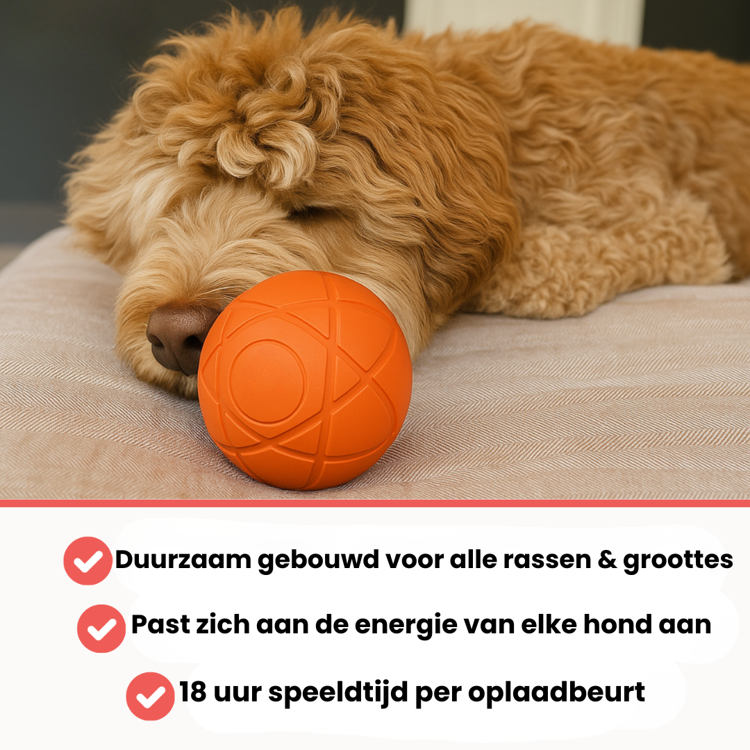 Speelsnuit™ - Bounce Buddy