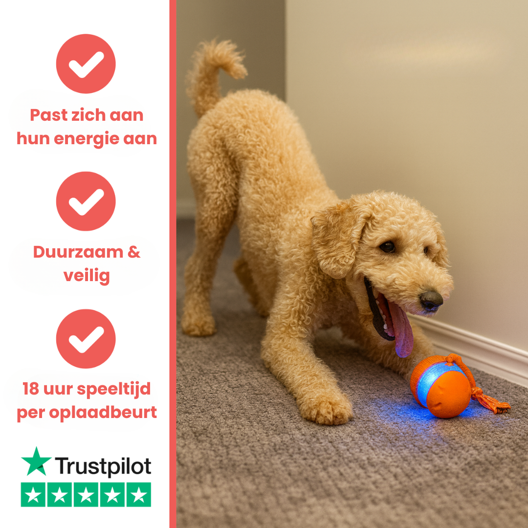 Speelsnuit™ - All-Day Buddy