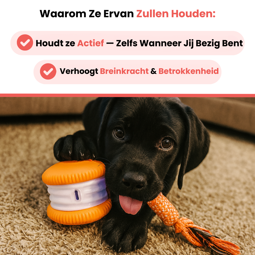 All-Day Buddy speeltijd