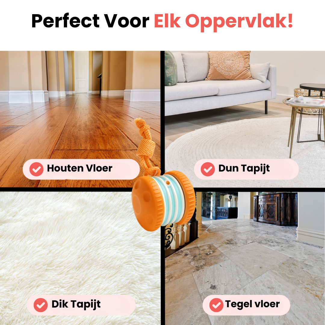 All-Day Buddy gaat lang mee