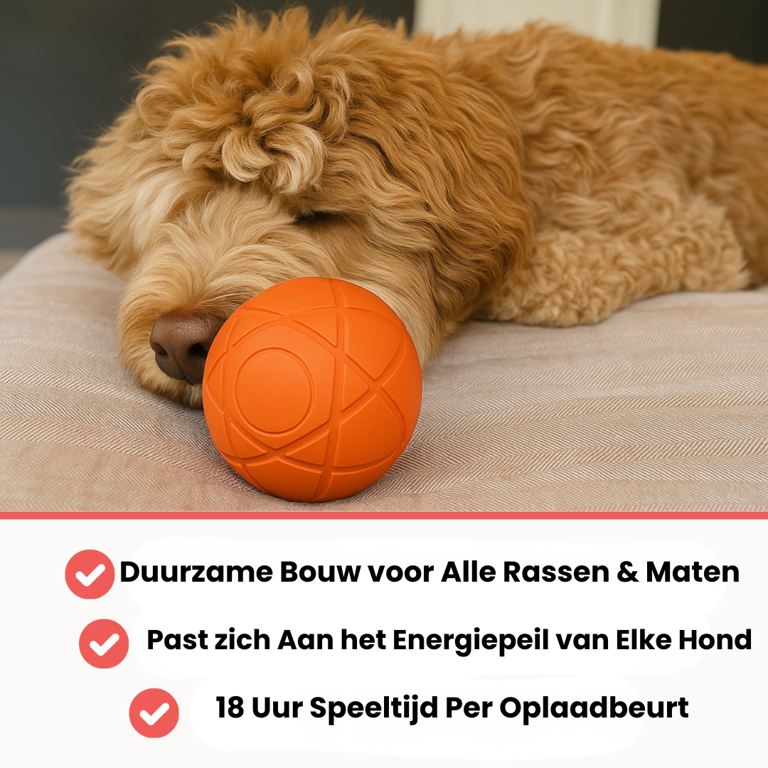 Bounce Buddy tegen verveling