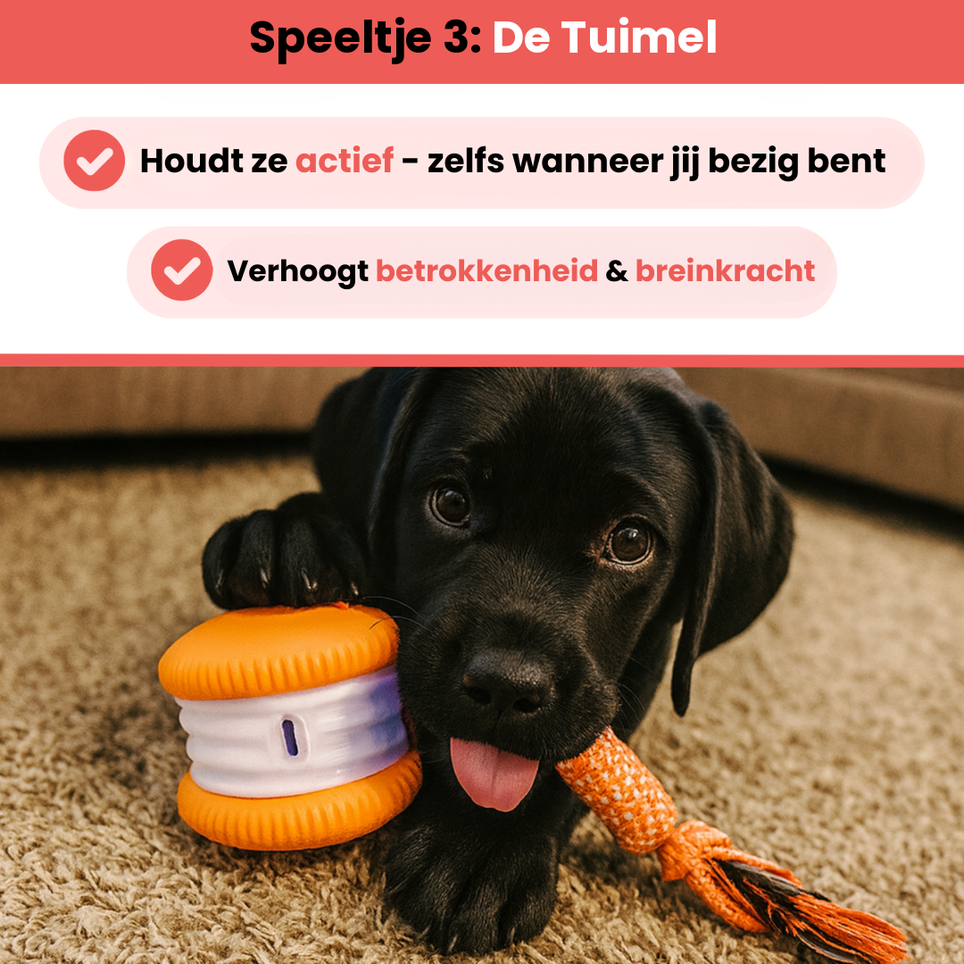 Gemaakt voor alle honden