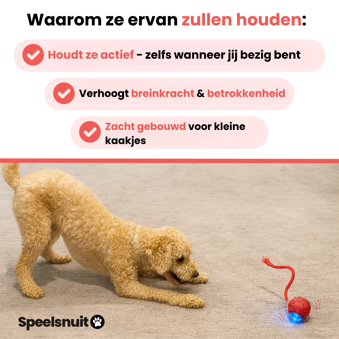 Speedy Tail speeltijd