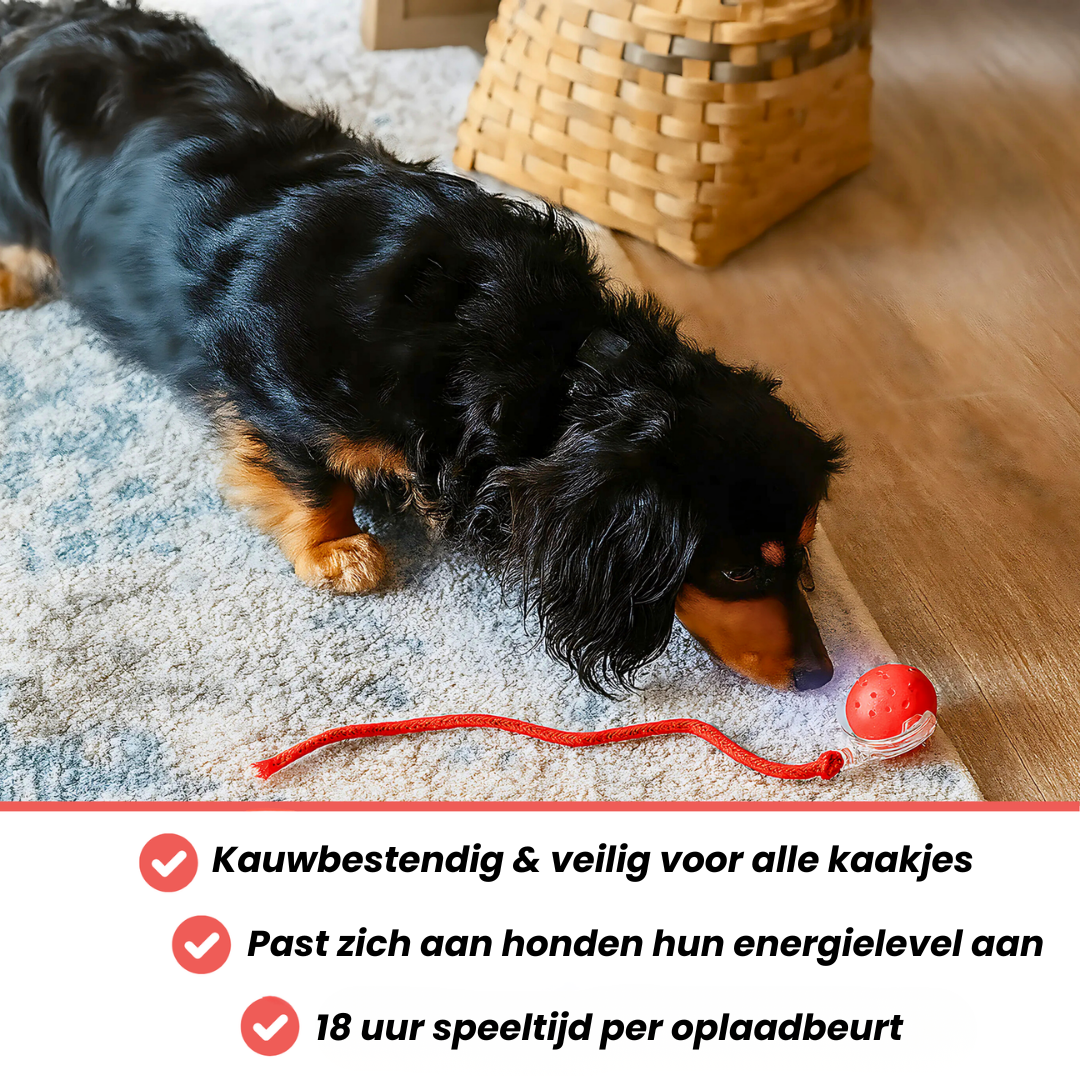 Speedy Tail tegen verveling