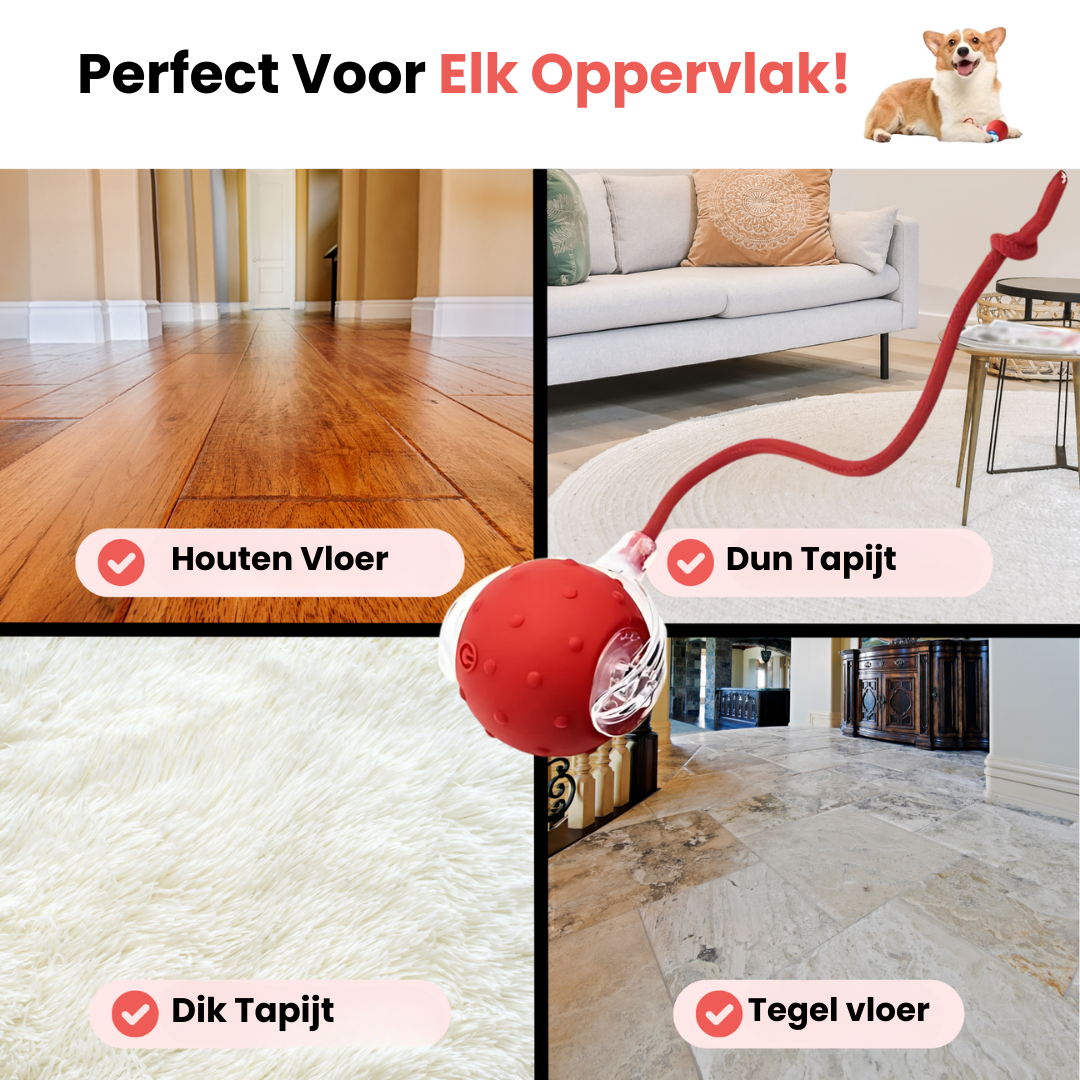 Speedy Tail op elk oppervlak